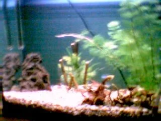Image076.webp