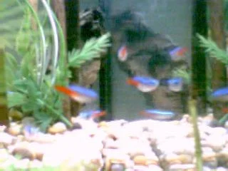 Image089.webp