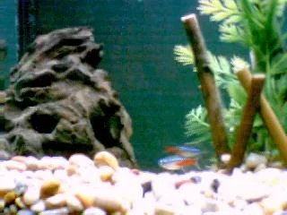 Image064.webp