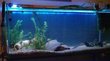 tank21_6.webp