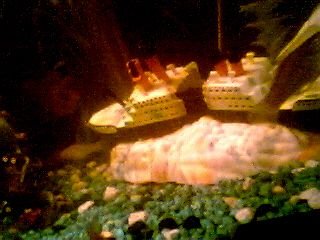 Picture_4.jpg