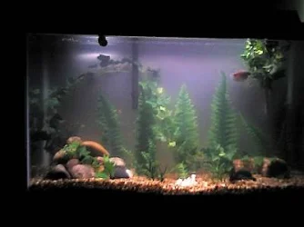 Tank_10.webp