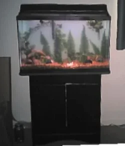Tank_11.webp