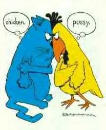 att2.webp