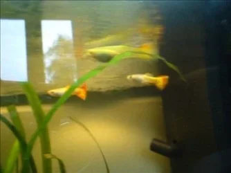 DSCF0100_0001.webp