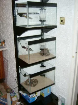 S4200009_Rotated.webp