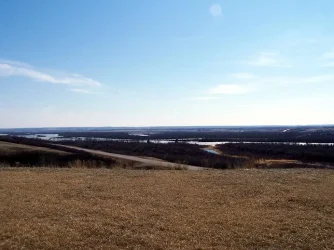 100_0221.webp