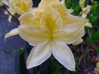 s4200002.webp