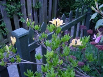 S4200011.webp
