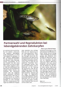 viviparos 2 2020 partnerwahl 1.webp