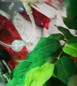 IMG_20200801_124917.webp