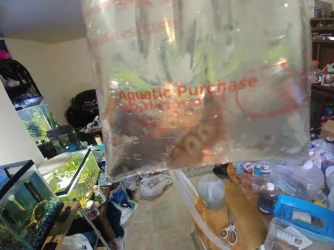 20200801_125803.webp