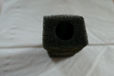 Sponge Aqua Internal 50.jpg