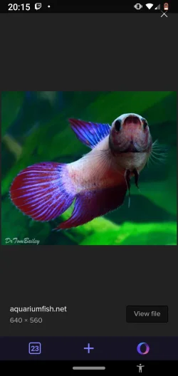 Screenshot_20200805-201515.webp