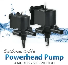 Power head.webp