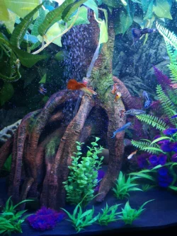 15968262397644130082269253812654.webp