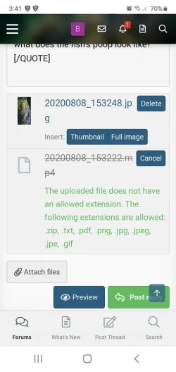 Screenshot_20200808-154145_Chrome.webp