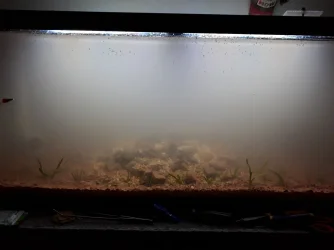 75gal_Rescape_0001.webp