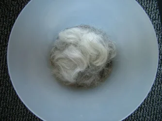 cut hair.webp