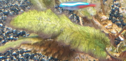 20200816_153216.webp