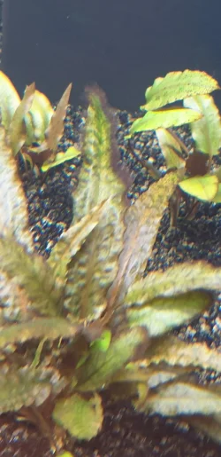20200816_171346.webp