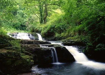 clare-glens-co-limerick-ireland-irish-the-irish-image-collection-.webp