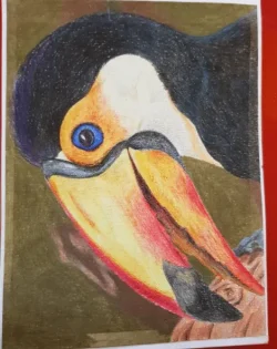 Toucan.webp Toucan.webp