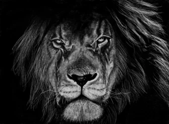 Charcoal Lion.webp Charcoal Lion.webp