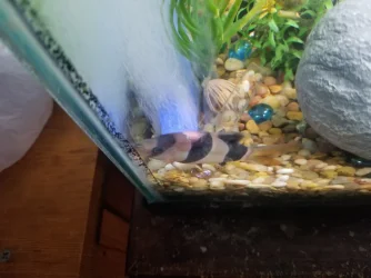 20200819_210258.webp