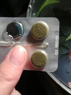 20200819_230437.webp