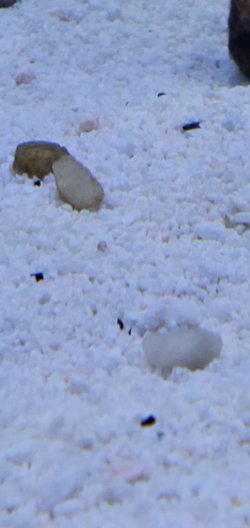 20200819_185118.jpg