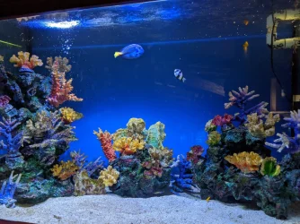MVIMG_20200821_164619.webp