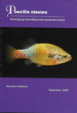 PN cover september 2020.webp
