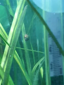 20200823_233104.webp