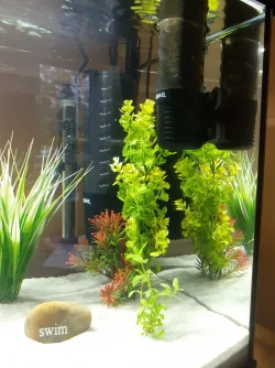20200823_194620.webp