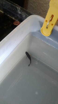 20200823_142223.jpg