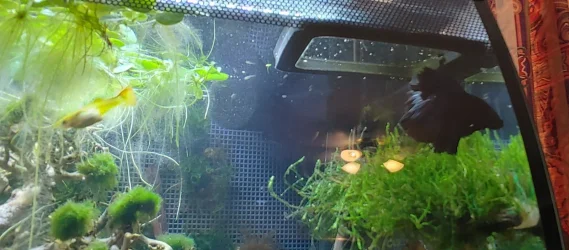 20200829_143324_HDR.webp