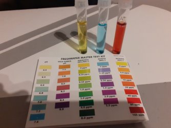 20200904_210031.jpg