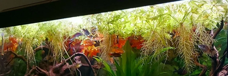 20200905_134811.webp