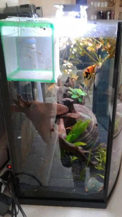 20200909_100150.webp