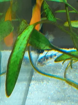 20200910_214357.webp