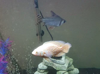20200916_204603.webp