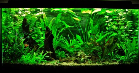 90g May 13-09  (1).webp