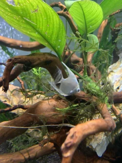 image.webp