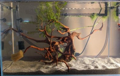 12gal.2.jpg