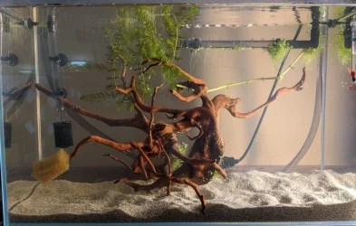 12gal.2.webp