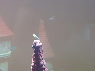 20200928_183203.webp