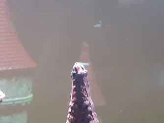 20200928_183200.webp