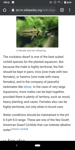 Screenshot_20200929-081601.webp