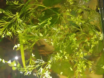 20200929_150350.webp